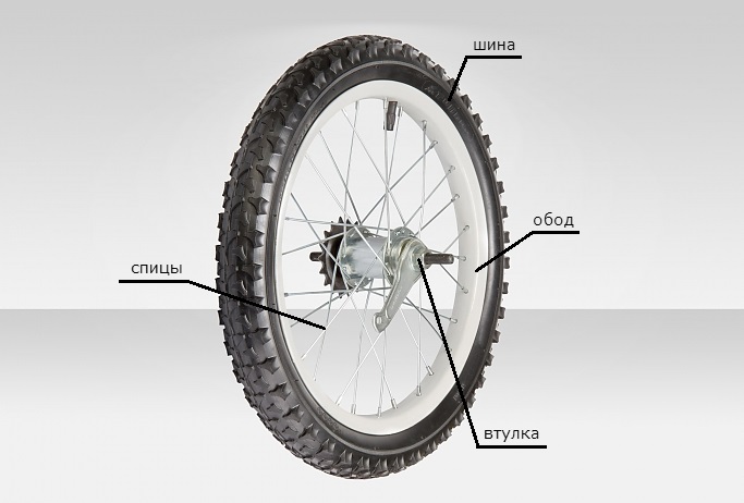 Как устроено колесо велосипеда: виды колес, устройство заднего колеса