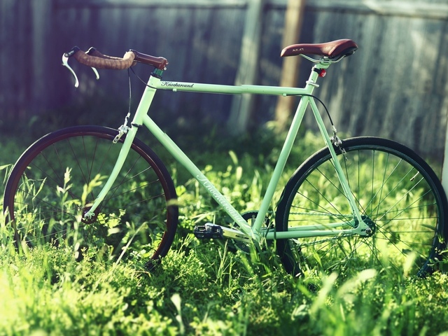 Зеленый велосипед на даче
