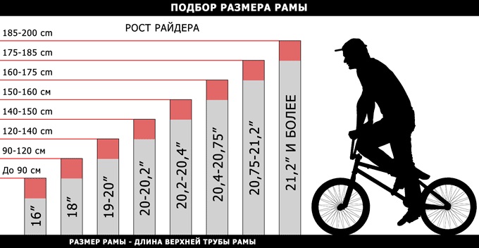 Подбор размера BMX