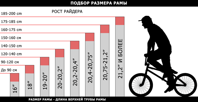 Подбор размера рамы велосипеда BMX