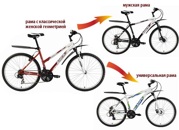 Выбор рамы велосипеда