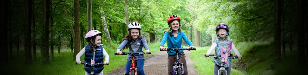 Дети на велосипедах в лесу
