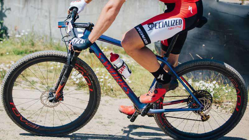 Specialized история бренда