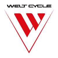 Логотип Welt